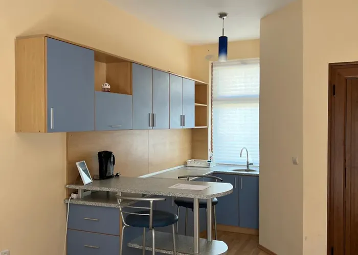 Sb Seaside 公寓 切尔诺莫雷茨