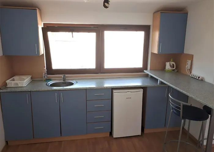 Sb Seaside 公寓 切尔诺莫雷茨